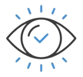 Vision Icon